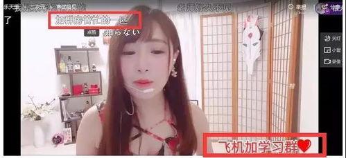 国产主播免费内部福利视频,独家免费视频大放送